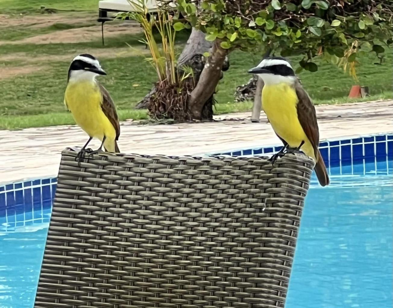 Anga Beach Hotel São Miguel dos Milagres Zewnętrze zdjęcie