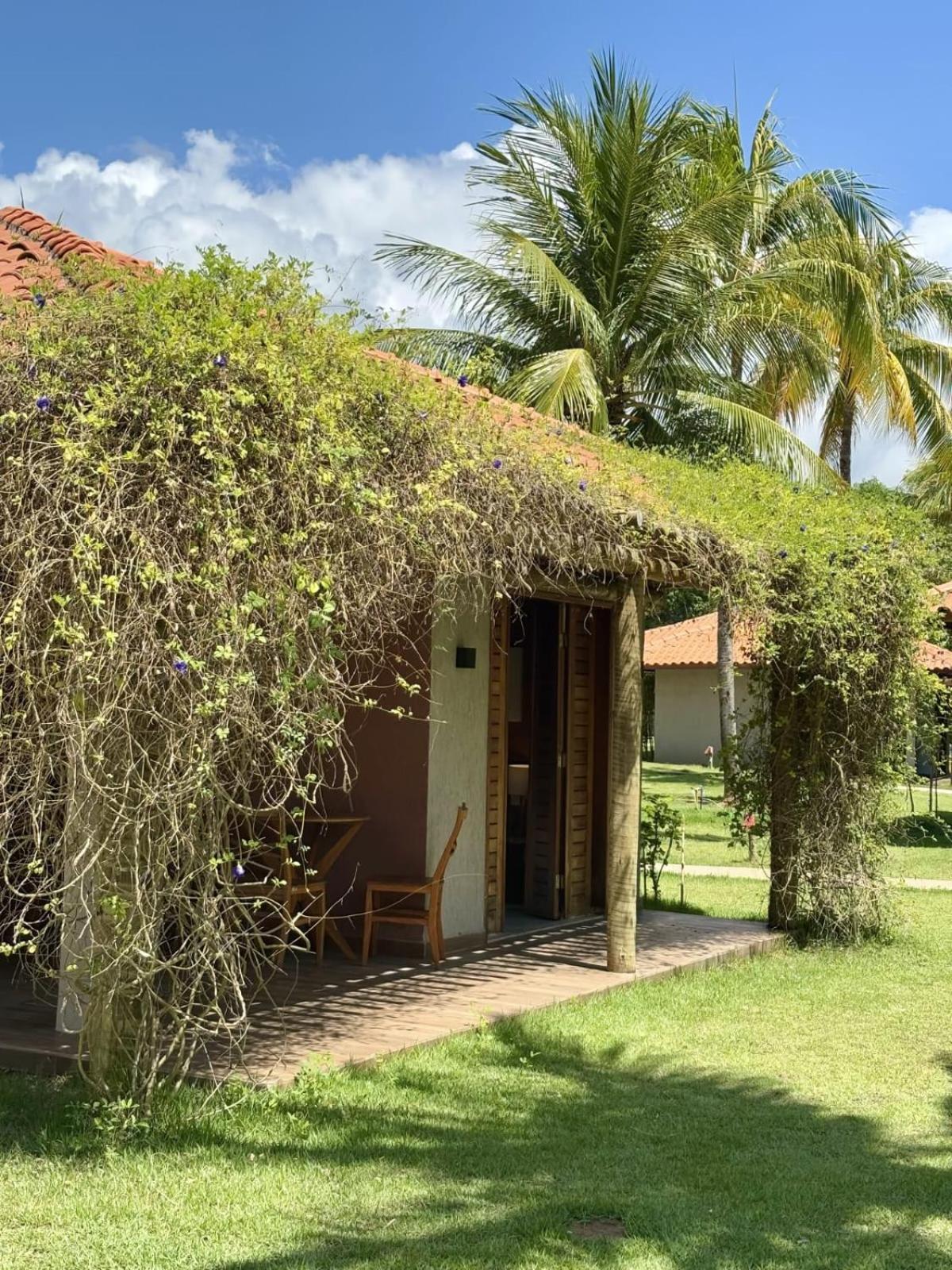Anga Beach Hotel São Miguel dos Milagres Zewnętrze zdjęcie
